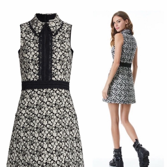 NWT Alice and Olivia Ellis Dress Size 4 - Picture 5 of 11
